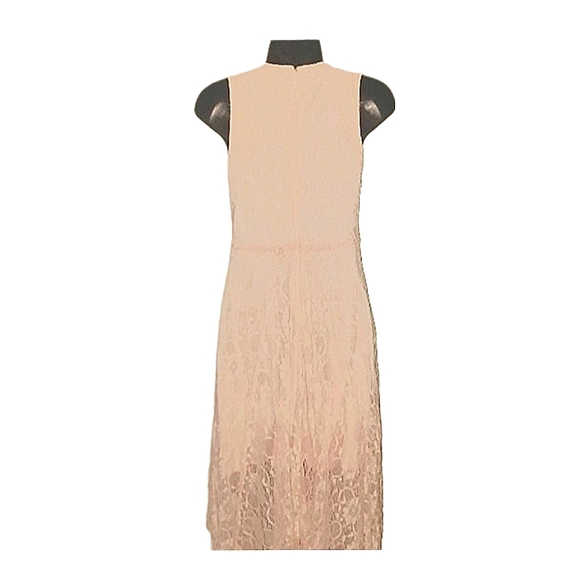 Venus Pink Lace Evening Dress - Picture 3 of 5